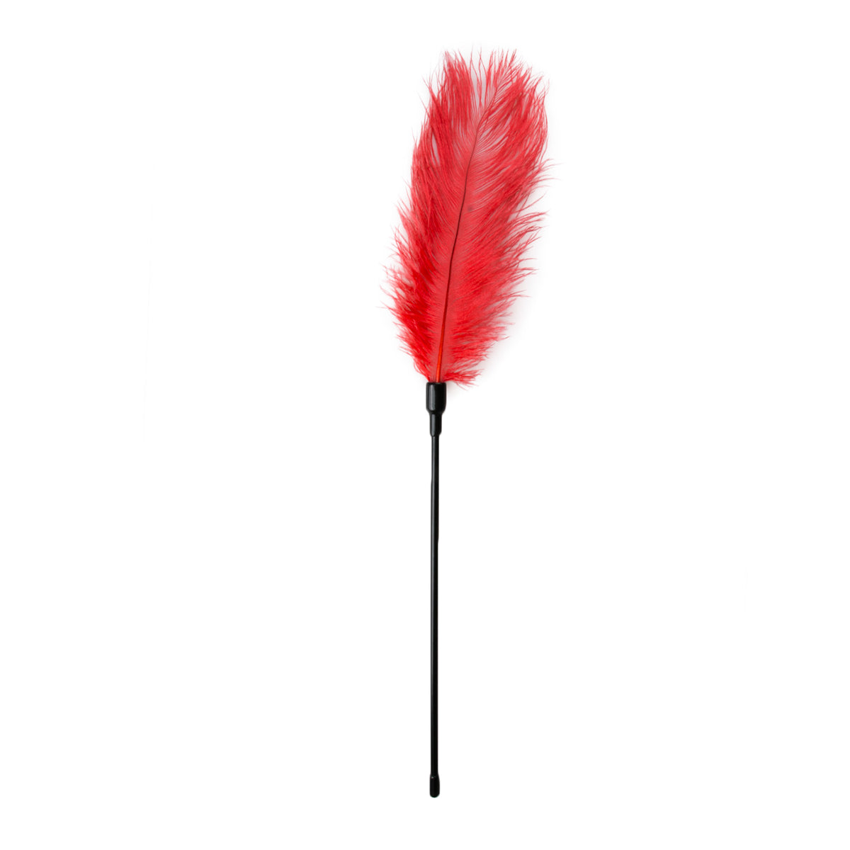 Easy Toys Fetish Collection Feather Tickler