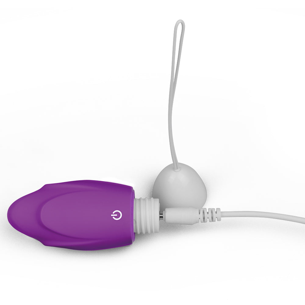 IJOY Wireless Remote Egg Vibrator 