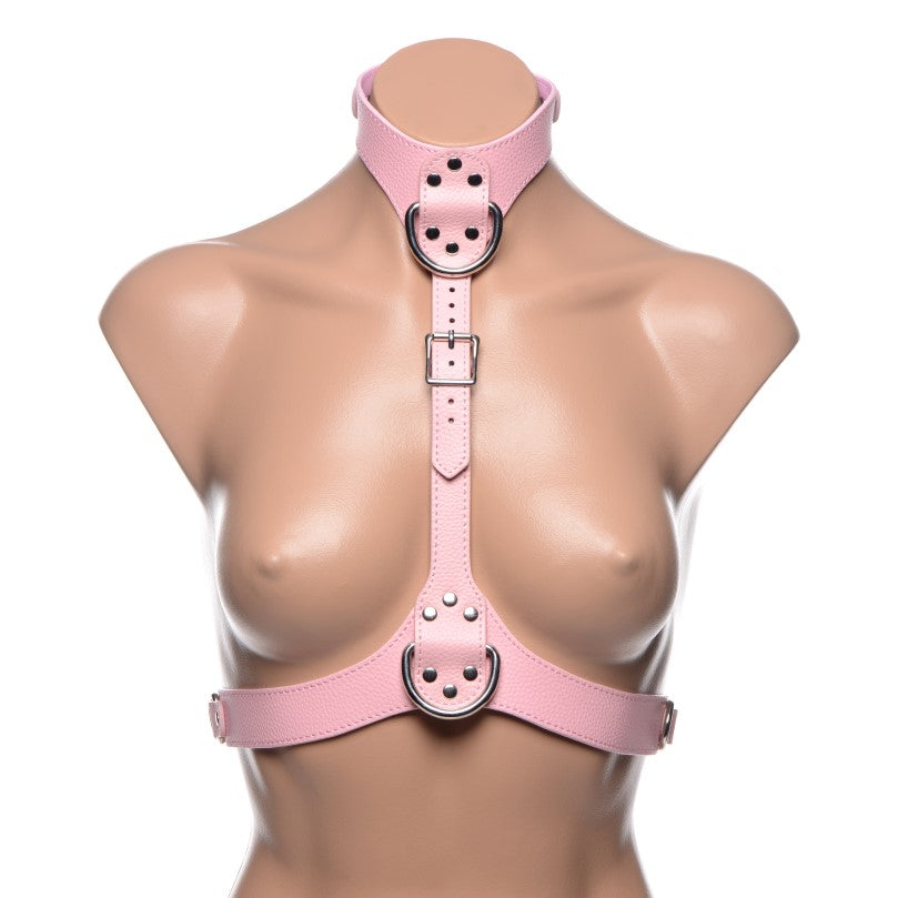 Frisky Miss Behaved Bondage Pink Chest Harness