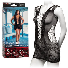CalExotics Scandal Peek-A-Boo Lace Mini Dress