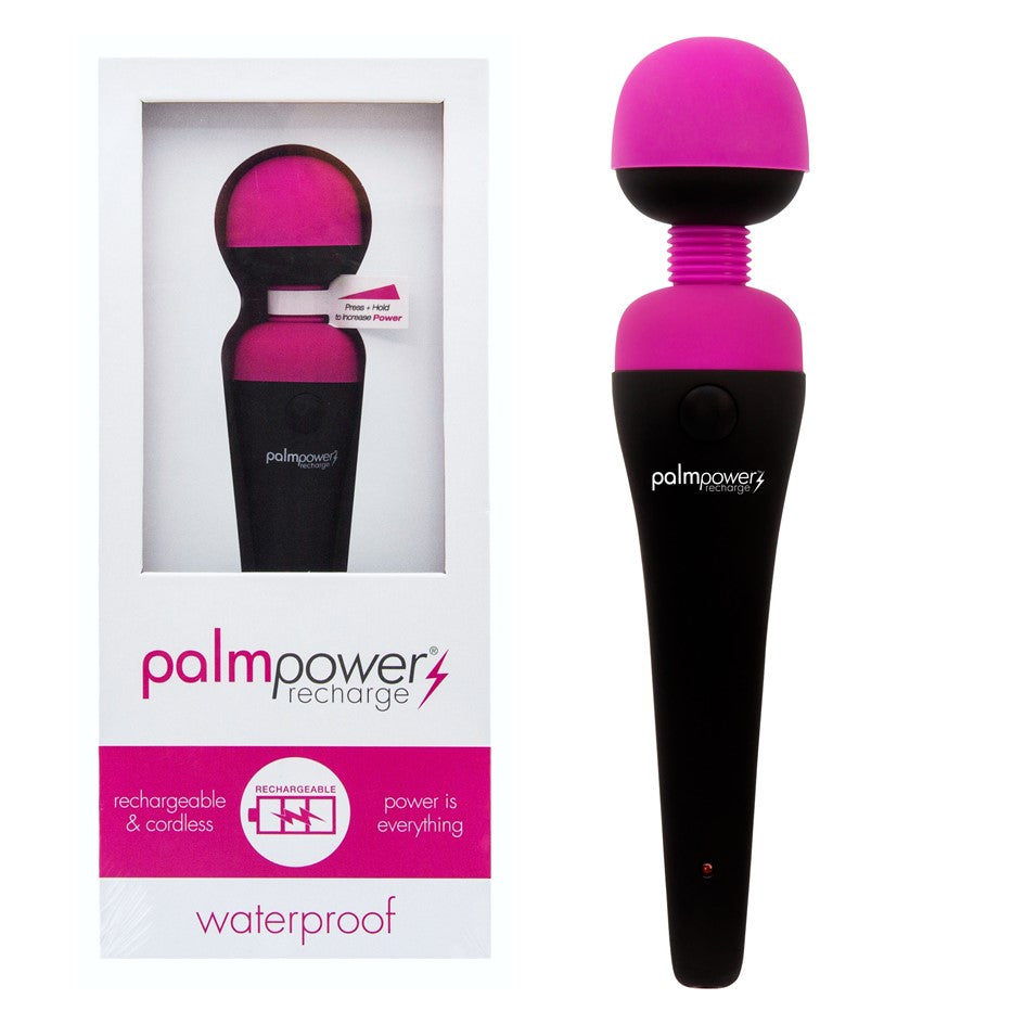 Palm Power Waterproof Recharge Massage Wand